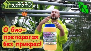 4 ВАЖНЫХ ВОПРОСА О БИОПРЕПАРАТАХ. Что умеет триходерма, можно ли переборщить и что с чем смешивать?