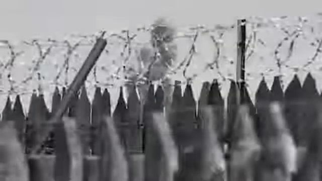 Дмитрий Сулей "Вольный ветер" смотреть онлайн