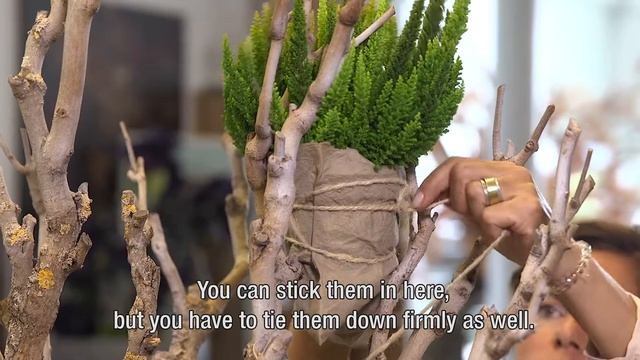 Inspiration with Calluna beauty ladies en skyline смотреть онлайн