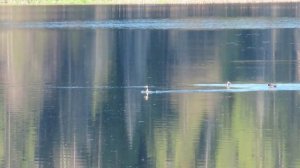 №3525  15 05 2023  Зеркало