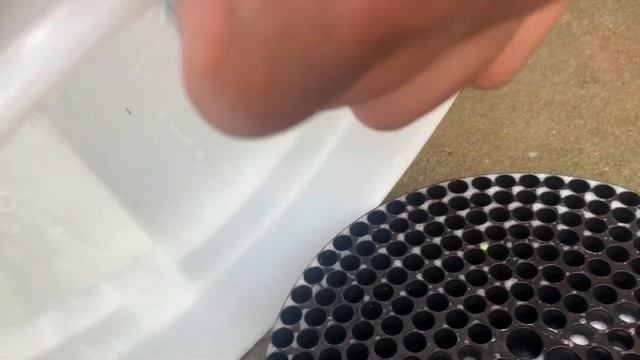 MR2 Kansei KNP wheel install! смотреть онлайн