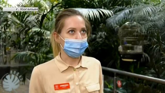 Более 20 уникальных пернатых обитают в когалымской оранжерее смотреть онлайн