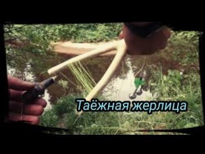 РЫБАЛКА НА ЖЕРЛИЦЫ / ТАЁЖНАЯ ЖЕРЛИЦА /  ЖЕРЛИЦА ПО ГИЛОВСКИЙ))))