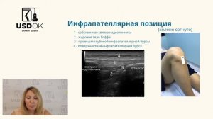 Видео урок УЗИ коленного сустава алгоритм осмотра