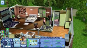 Sims 3 - Смитты (Шестой выпуск) - Беременность