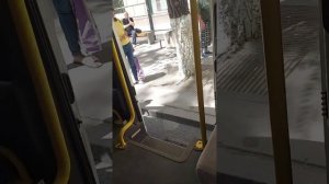 Поездка на микроавтобусе Луидор-225033 (Газель Next)