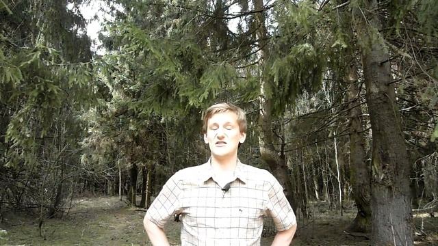 Какие женщины нравятся мужчинам смотреть онлайн