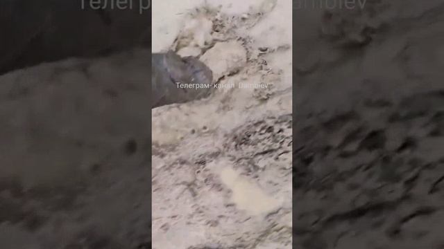 Уничтоженный автотранспорт украинских формирований на одной из дорог, ведущих из Артемовска в Часов
