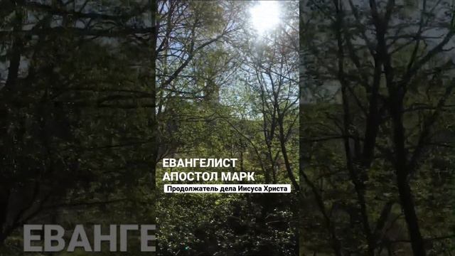 ЕВАНГЕЛИСТ АПОСТОЛ МАРК #православие #христианство #вера #апостолмарк #марк #аполстолпетр #петр