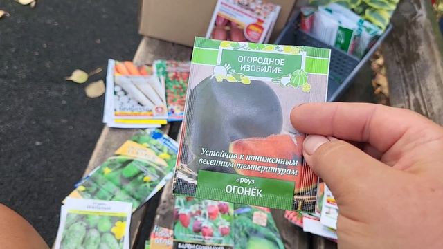 Что выросло/Моё мнение/Обзор семян/ОДНА В ДЕРЕВНЕ👱🏼♀️ смотреть онлайн