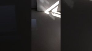 Основит 45 обязательно с фиброй