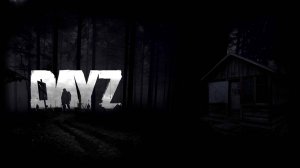 Dayz. Сервер Последний рубеж/PVE 
А что бы было.