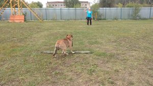 кадебо подготовка к окд