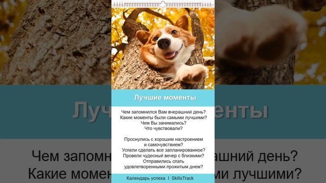 Календарь успеха #74. Лучшие моменты