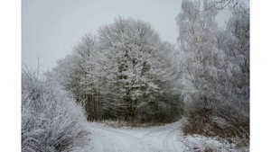 Юрий Асмолов