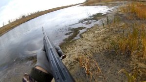 ОХОТА НА УТКУ - ИТОГ ПОРАДОВАЛ.mp4