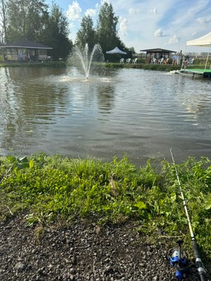 Ловим рыбу