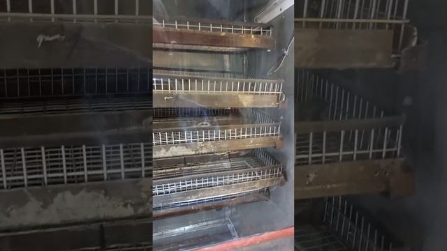 инкубатор готов к эксплуатации смотреть онлайн