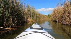 Kayaking the Waits River, Bradford, Vermont 9/13/21