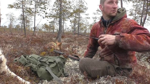 ОХОТА НА МЕДВЕДЯ.КРУПНЫЙ ЗВЕРЬ.Зверовая охота с лайками 2021г.