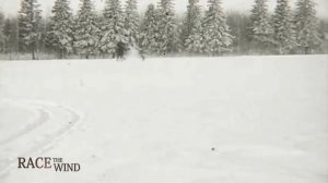 Русские борзые против волка 1910 г