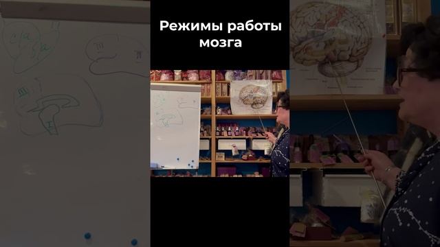 Режимы запоминания мозга #натальядавыдовская #ольгаеременко