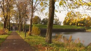 Чёрный кофе- Листья. Дмитрий Варшавский