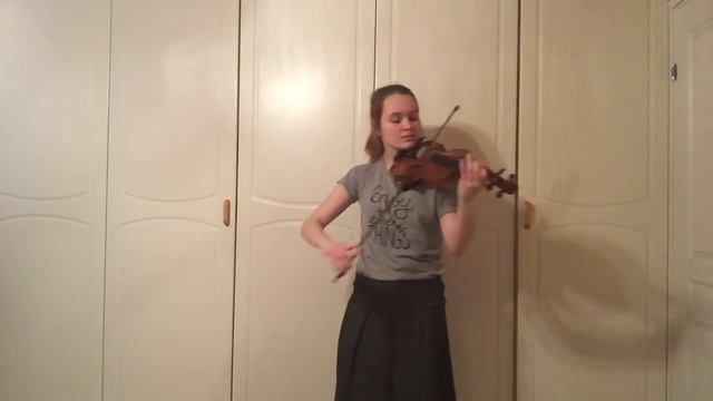 Take Flight - Lindsey Stirling Emma Dahl Violin Cover