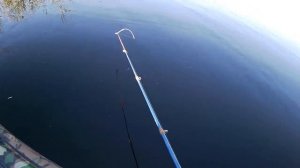 Рыбалка на ротана жарким летом с лодки...