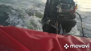 Экспресс диагностика Меркури 50 слабое давление топлива