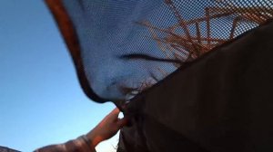 Охота на Огаря на поле 2020 г