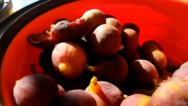 Инжировое варенье  на зиму