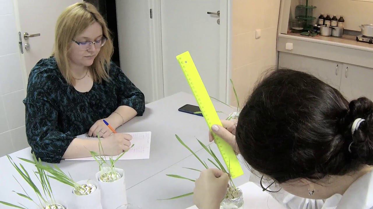 Лаборатория биоэкономики и устойчивого развити