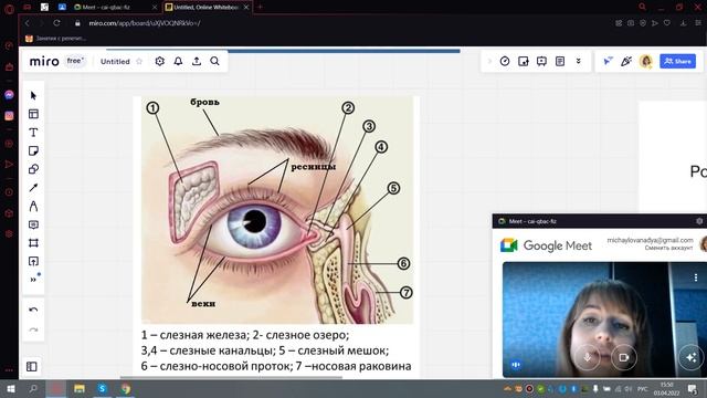 Анализаторы смотреть онлайн