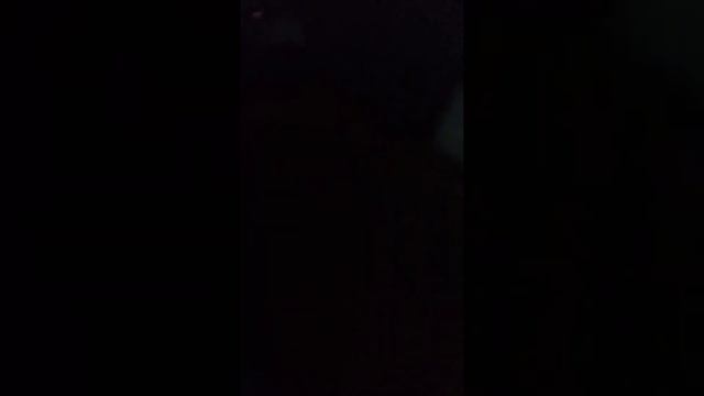 крупнолист(укладка на выжелчивание часть первая). смотреть онлайн