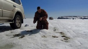 Зимняя рыбалка Закрытие ледового сезона по корюшке и наваге 2022-2023 апрель Магадан