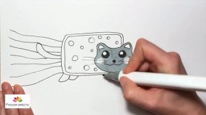 Как нарисовать кота (НЯН КЭТ)