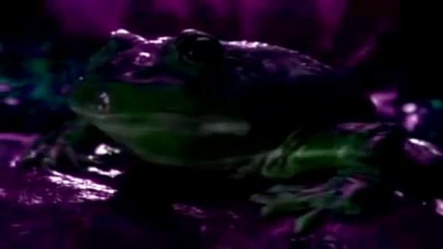 Roblox Isle's Truth ending is a perfect ending. смотреть онлайн