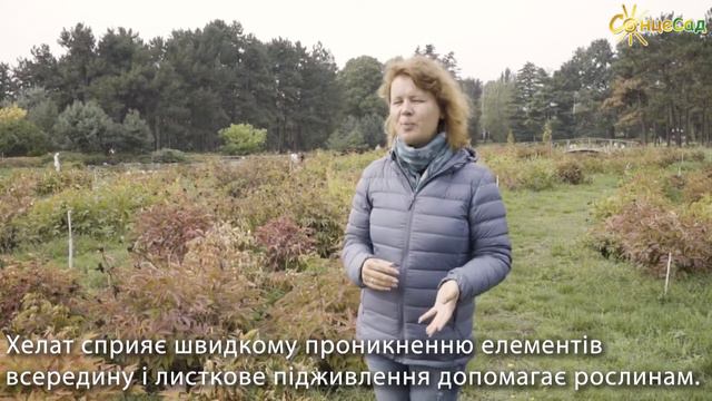 Догляд та підживлення півоній 🌺
