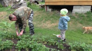 Полдник по - баклански.