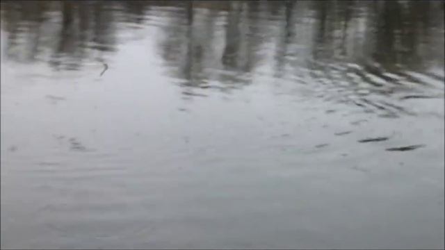 Кораблик Carp club boat на течении смотреть онлайн