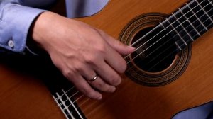 Agustin Barrios. Choro da saudade. Dmitry Nilov