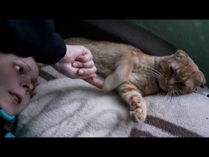 Жизнь простых людей в деревне. Проводила своих , вновь иду на тихую охоту.