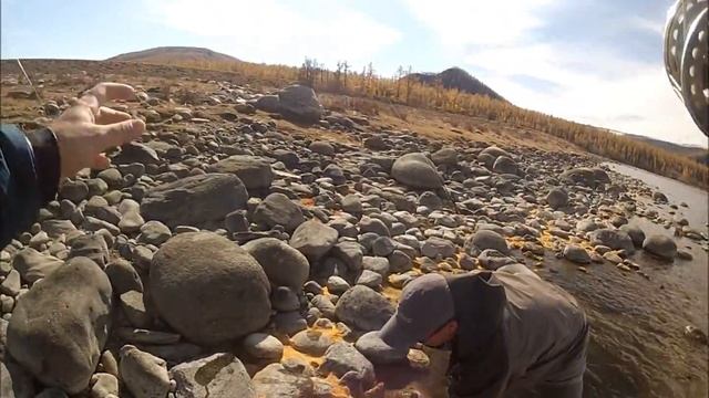 Hucho Taimen Fly Fishing In Mongolia 2012