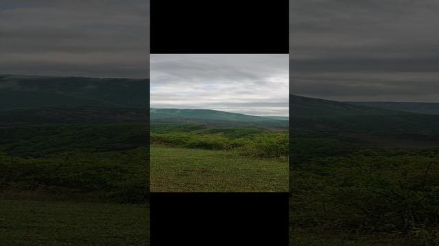 ГОРЫ