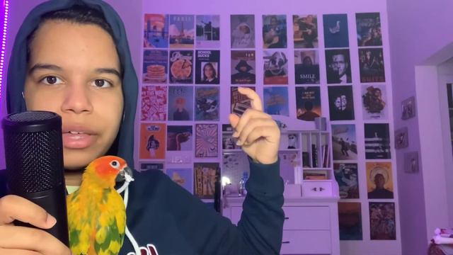 I DECORATED MY ROOM WITH POSTERS AND LED LIGHTS смотреть онлайн