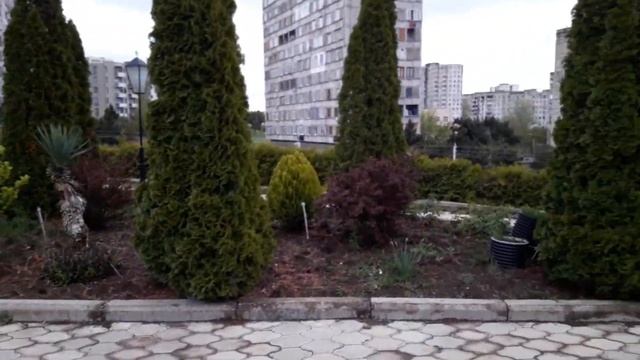 ბზობა Вербное Воскресенье / Церковь во имя Св. Георгия / Тбилиси 21.04.2019 смотреть онлайн