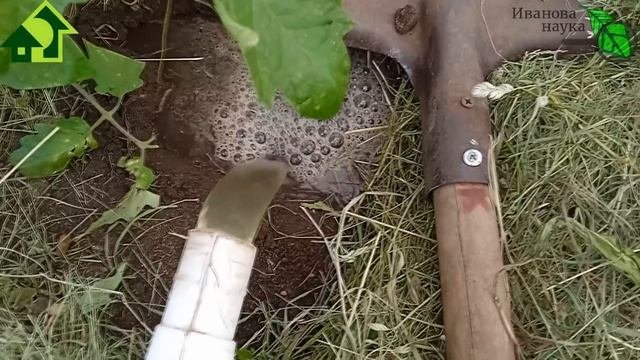 СУХОЙ ПОЛИВ: БЕРЕЖЕМ ВОДУ, СИЛЫ и... СПИНУ! Как правильно поливать огород.
