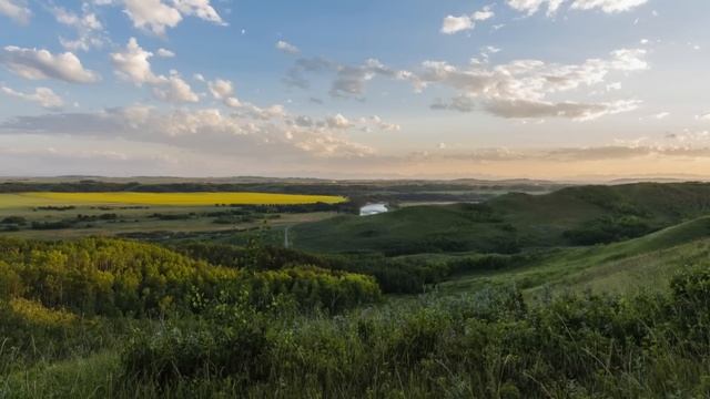 После внезапной потери жены-богачки, он выгнал из дома падчерицу, но от её ответа... смотреть онлайн