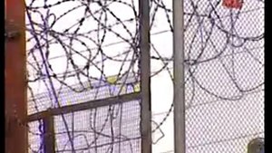 Рома Жиган Я не виновен